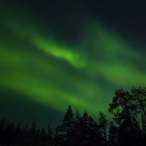Scandinavian Northern Lights guided Tour