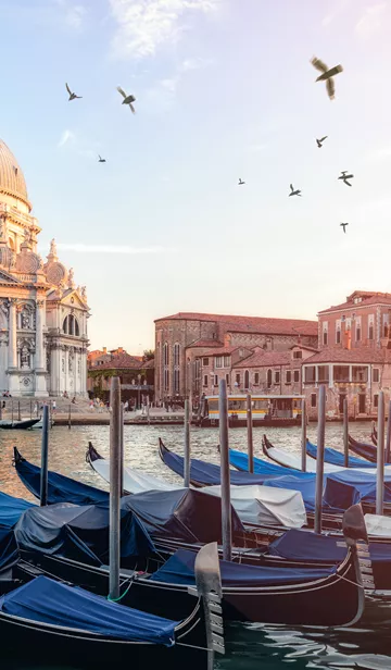 River Side View Of Santa Maria Della Salute Church,Venice 861798276