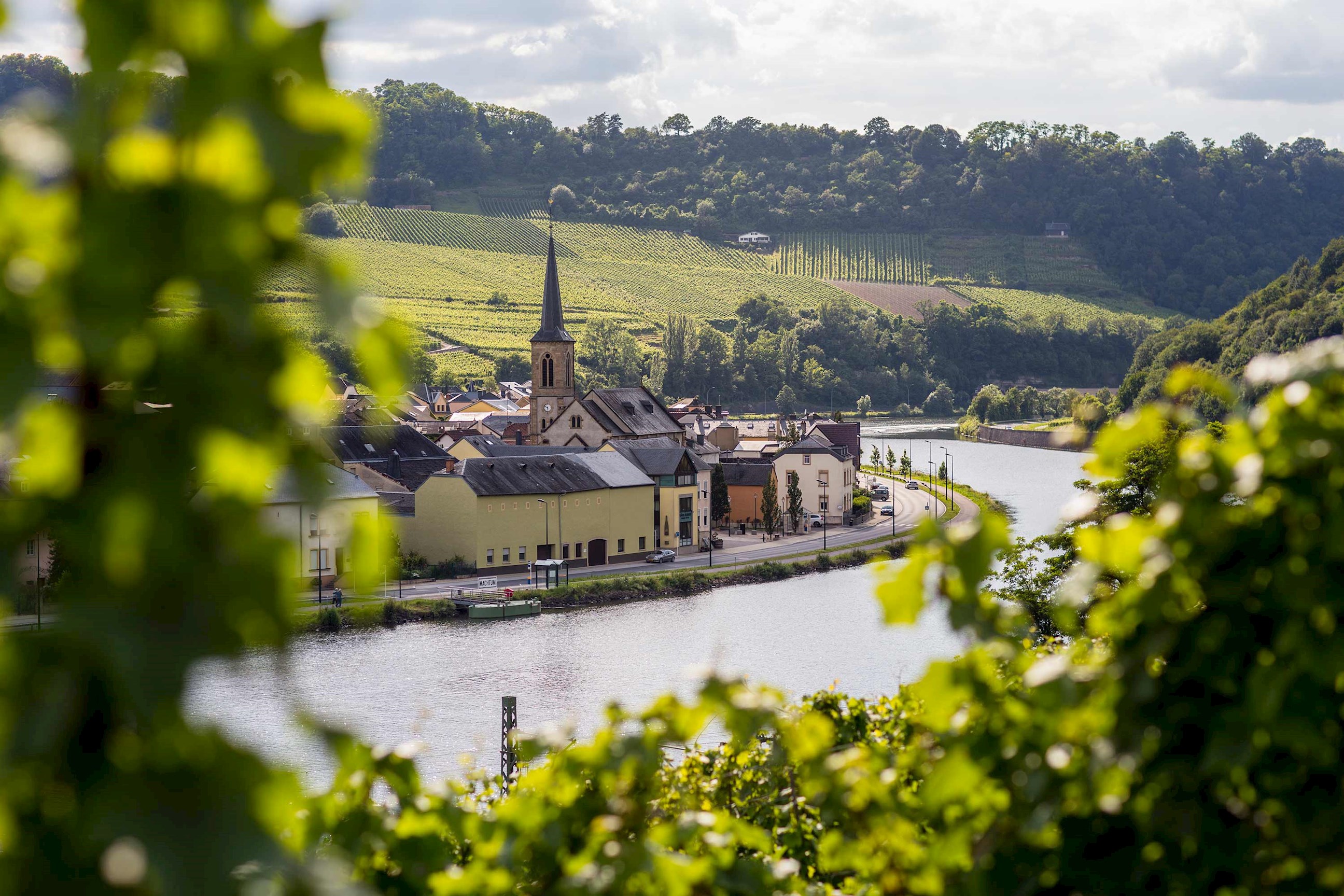 view-village-rhine-river-germany.jpg