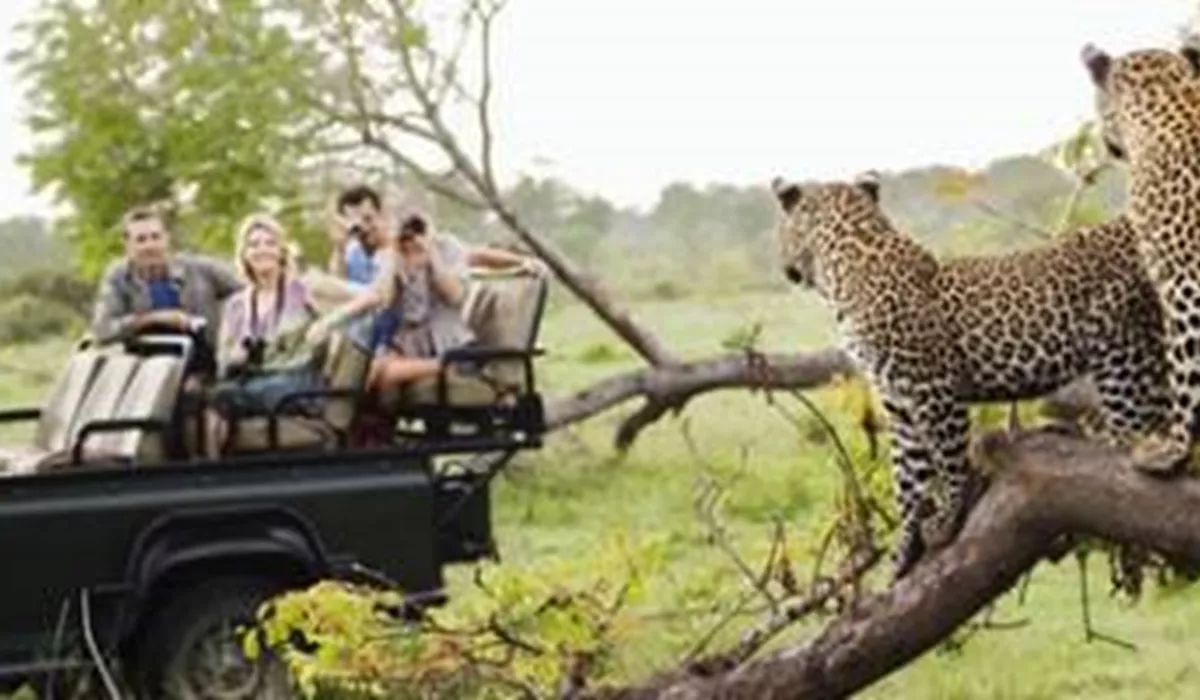 Guests on African safari tour