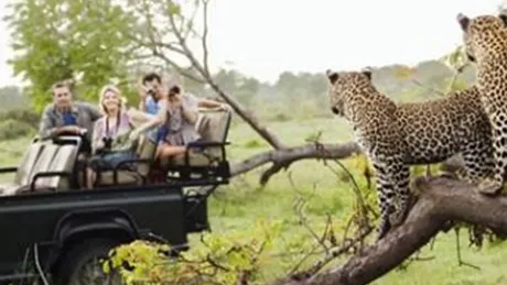Guests on African safari tour