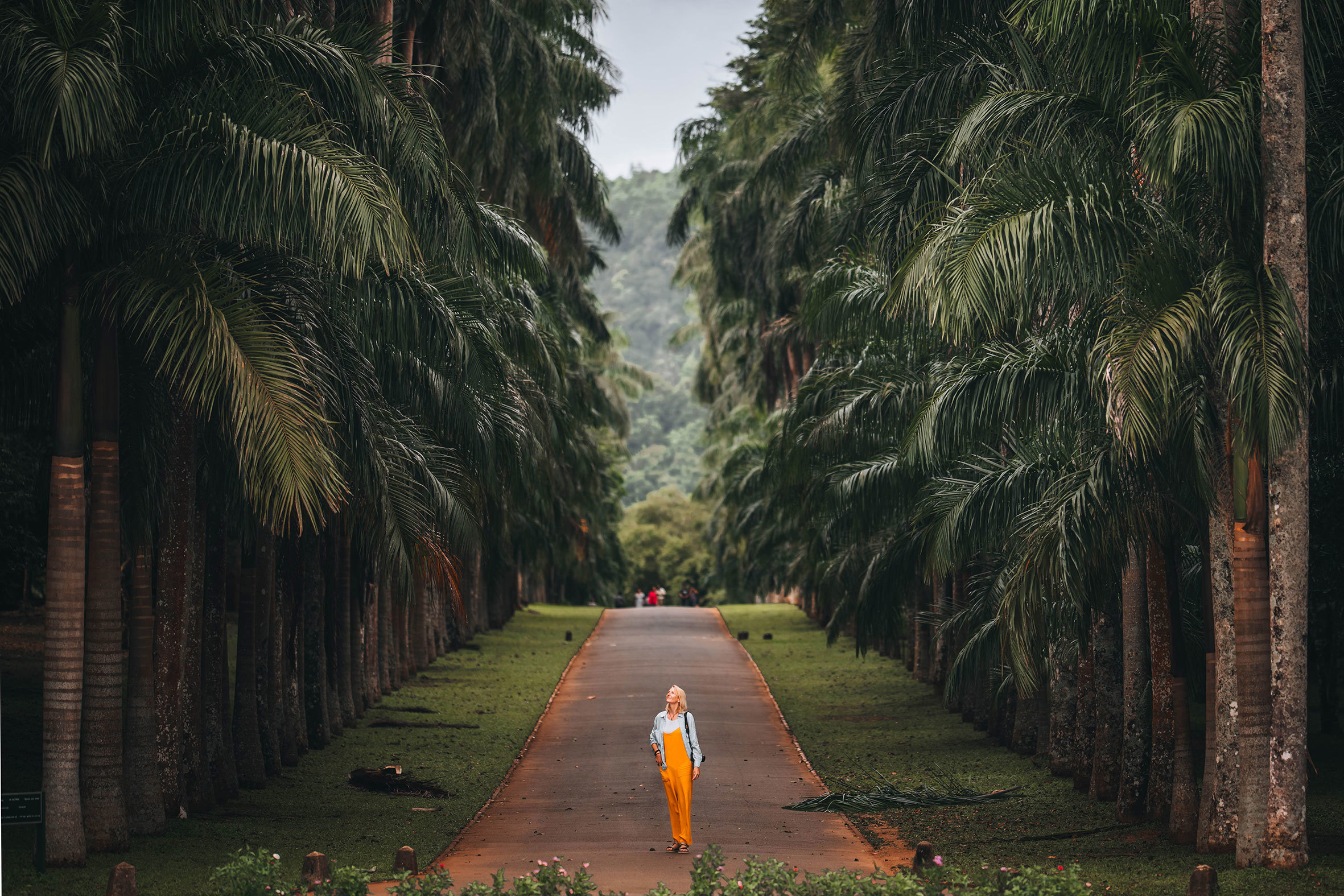 royal-botanical-gardens-in-kandy-sri-lanka-gettyimages-2072349779.jpg