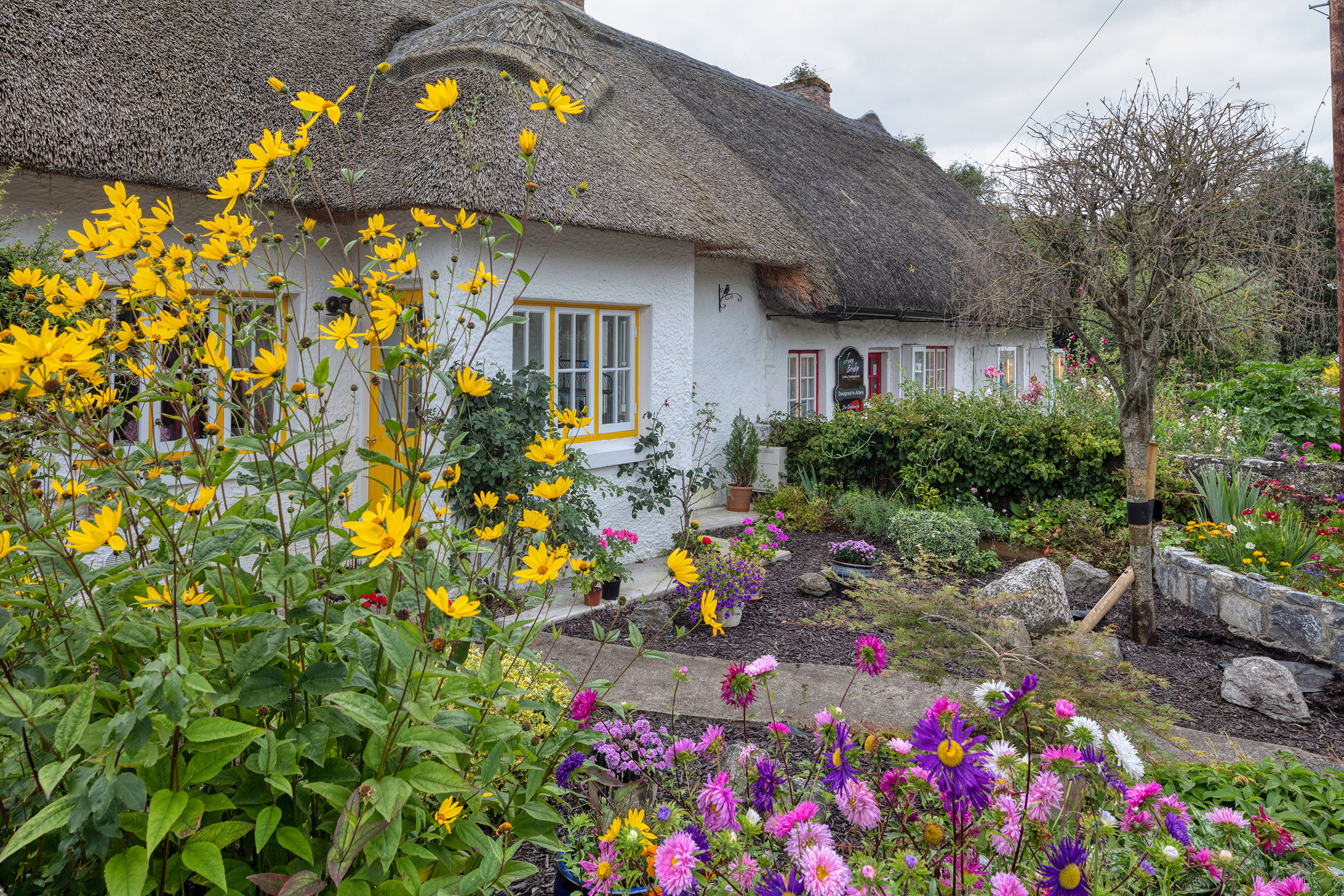 traditional-thatched-cottages-adare-village-county-limerick-ireland-1203604317.jpg