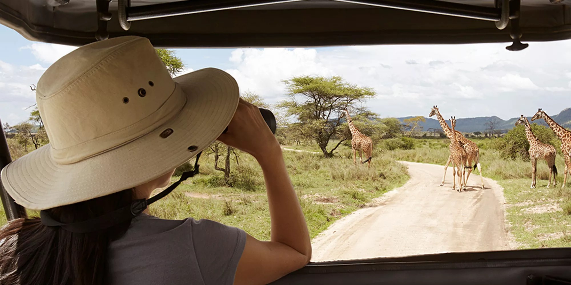 Woman in the hat watching giraffes in Tanzania