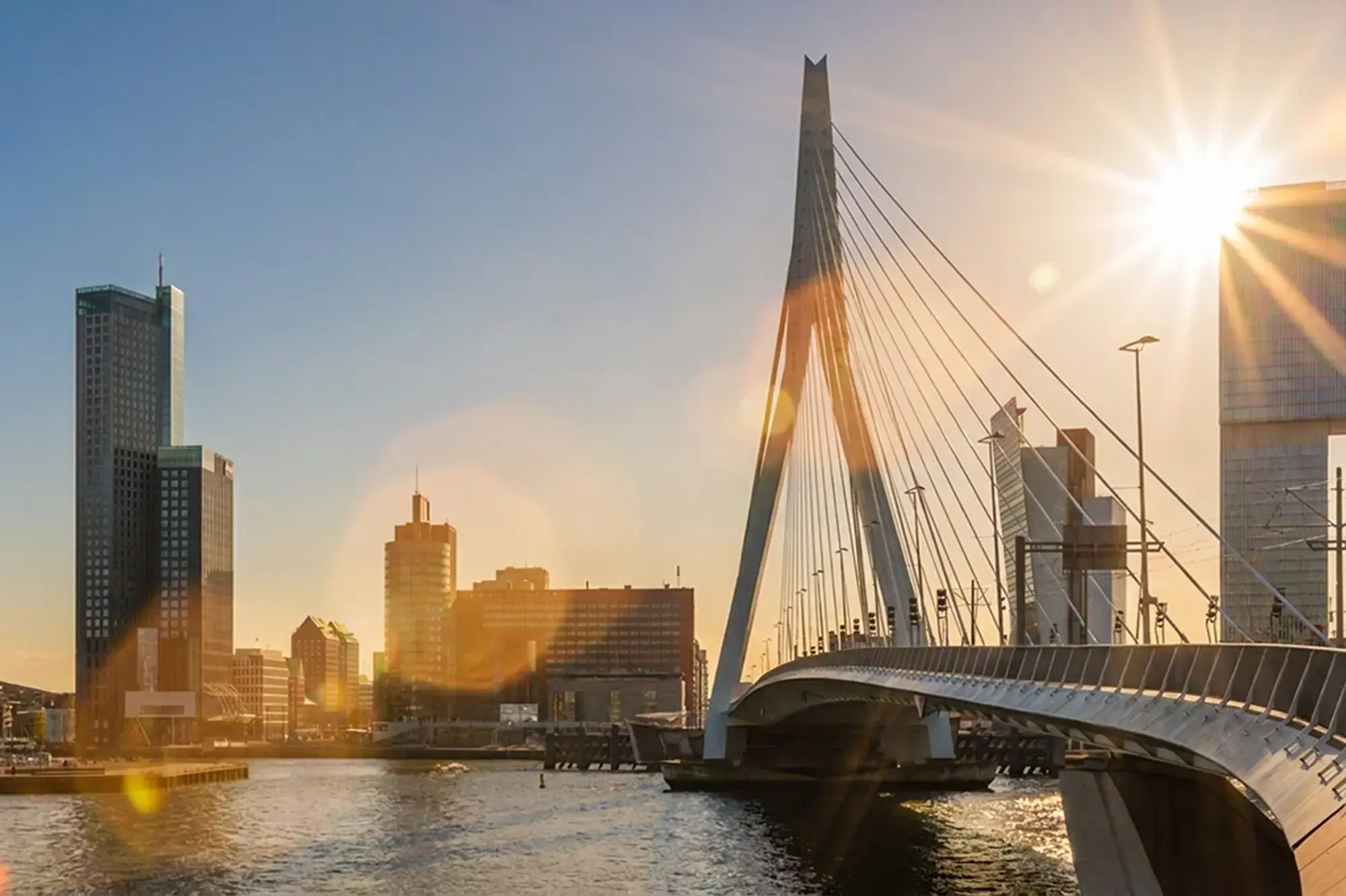 day-hero-erasmus-bridge-rotterdam-rtd.webp