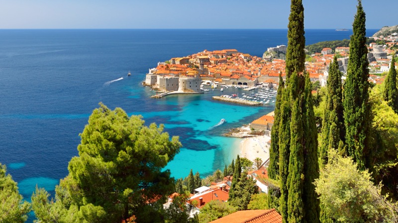Scenic city by the sea view with vibrant green trees in the foreground