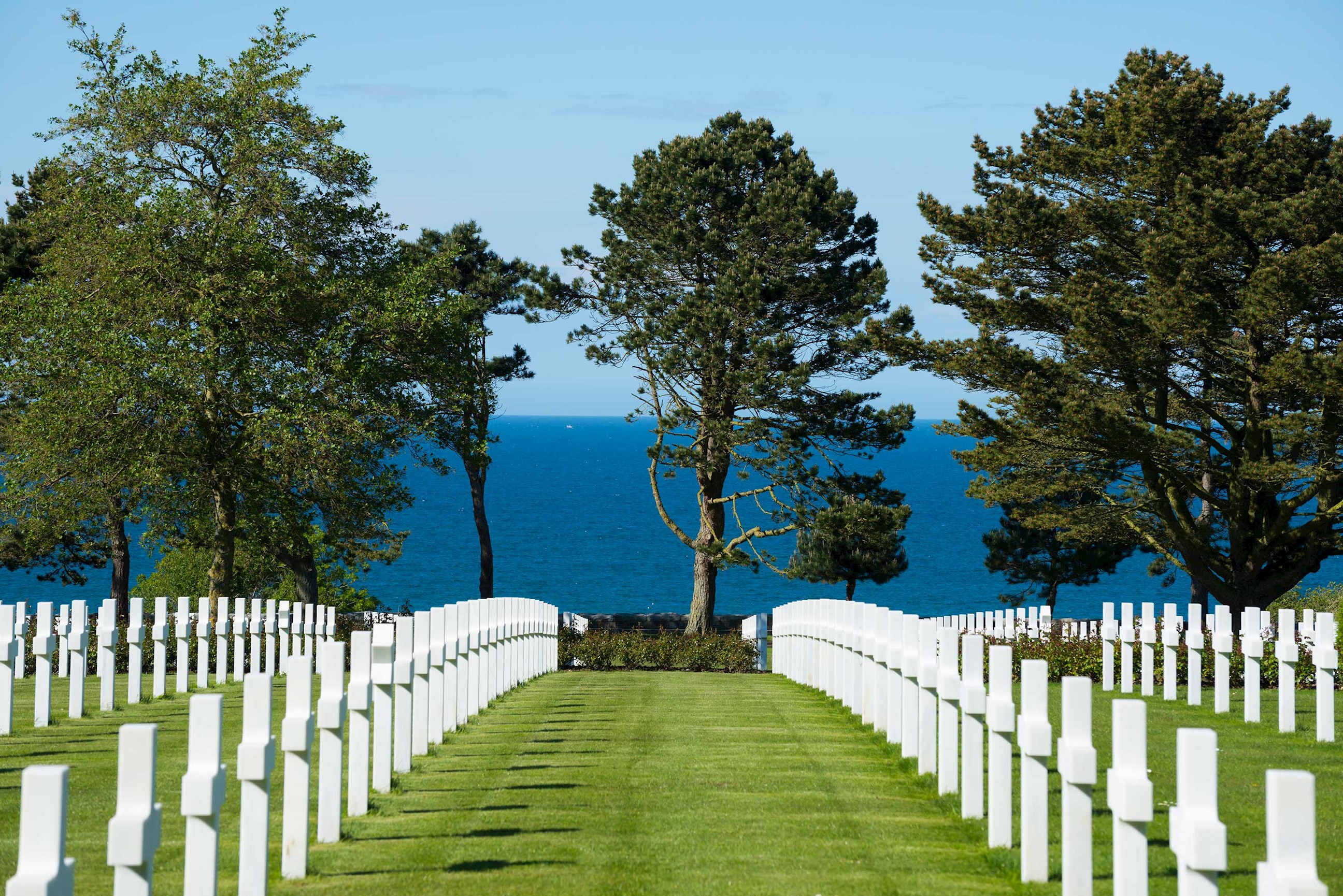Symmetrical rows of white crosses in cemetery overlooking ocean and trees.