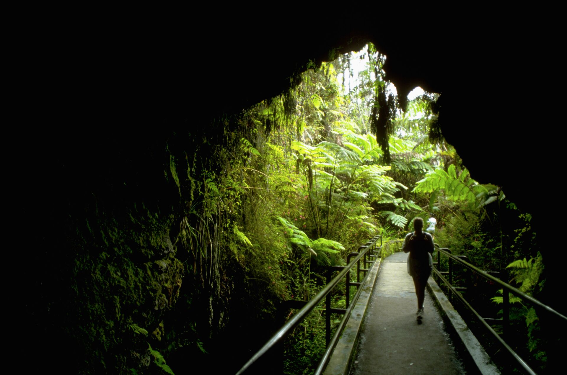 Woman walking through lush vegetation in Hawaii Volcanoes National Park in Hawaii, USA