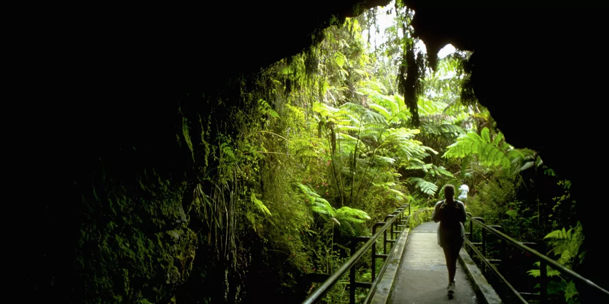 Woman walking through lush vegetation in Hawaii Volcanoes National Park in Hawaii, USA