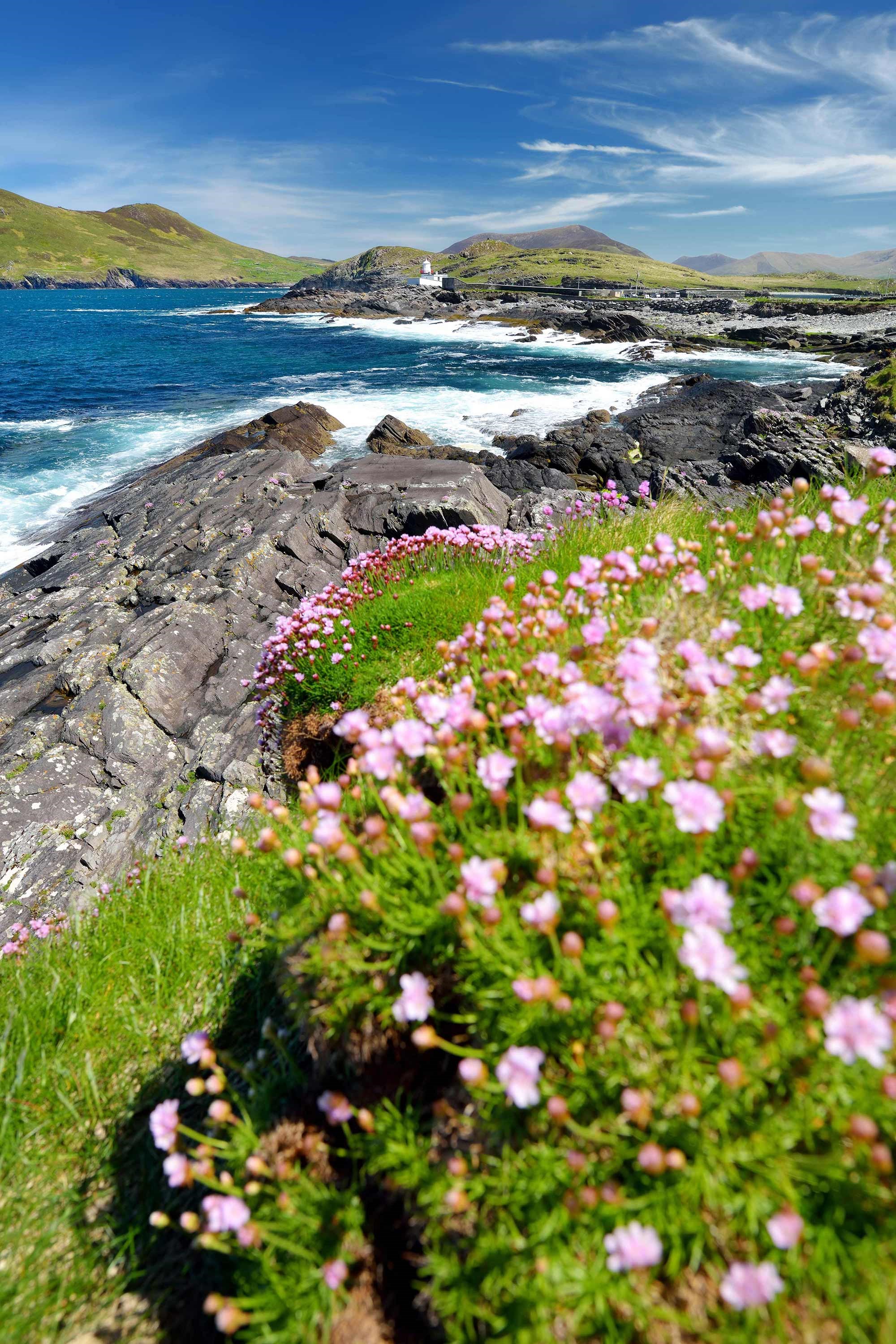 wild-atlantic-way-county-kerry-ireland.jpg