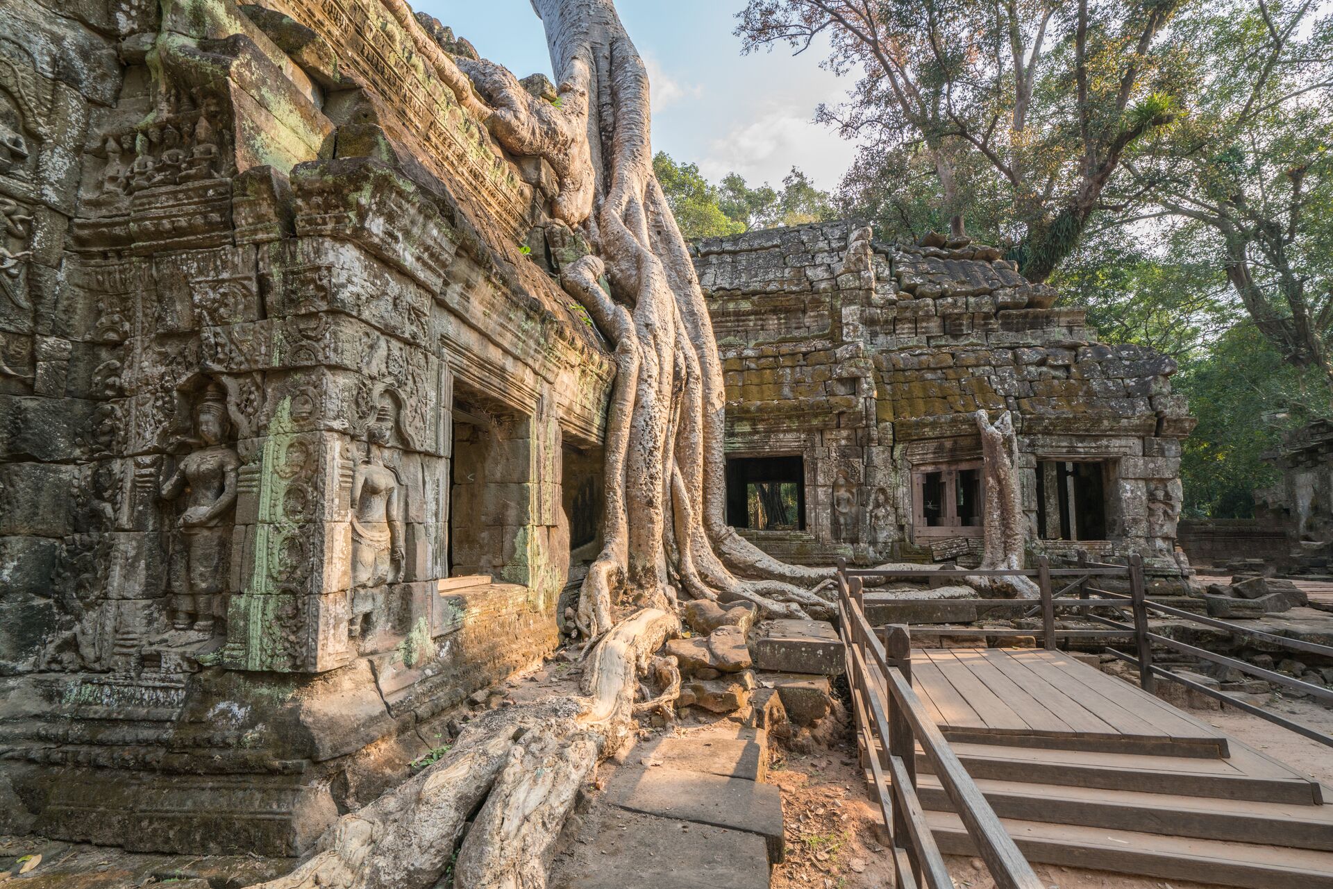 Large Ta Prohm Angkor Wat Cambodia The Ancient Temple Of Ta Prohm At Angkor Wat, Cambodia Where Roots Of The Jungle Trees Intertwine With The Masonry Of The 961215714