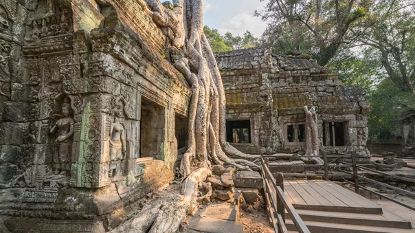 Large Ta Prohm Angkor Wat Cambodia The Ancient Temple Of Ta Prohm At Angkor Wat, Cambodia Where Roots Of The Jungle Trees Intertwine With The Masonry Of The 961215714