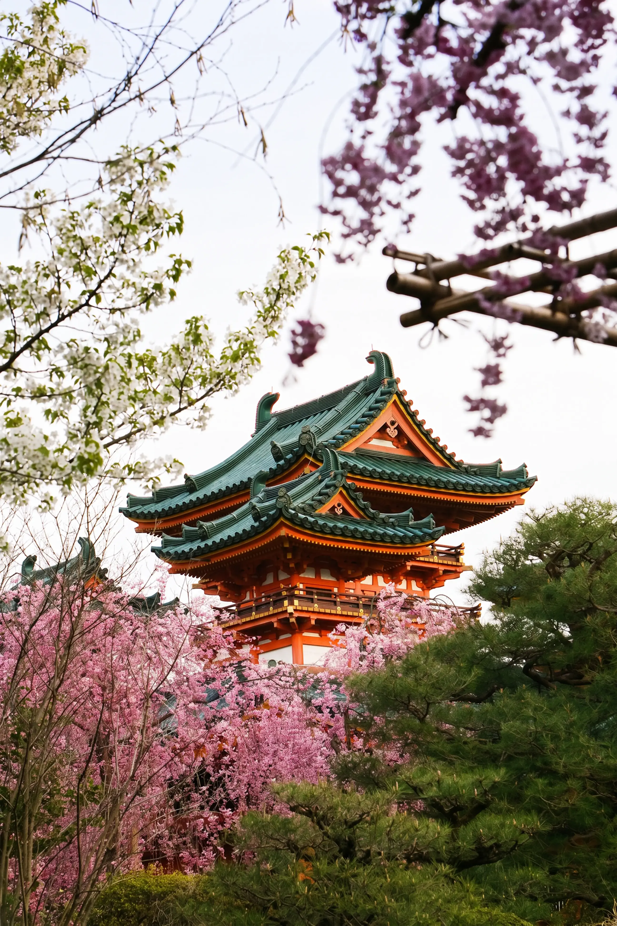 day-hero-temple-with-cherry-blossom-kyoto-japan.webp