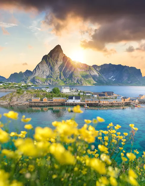 Panoramic View Of Lofoten Islands In Norway