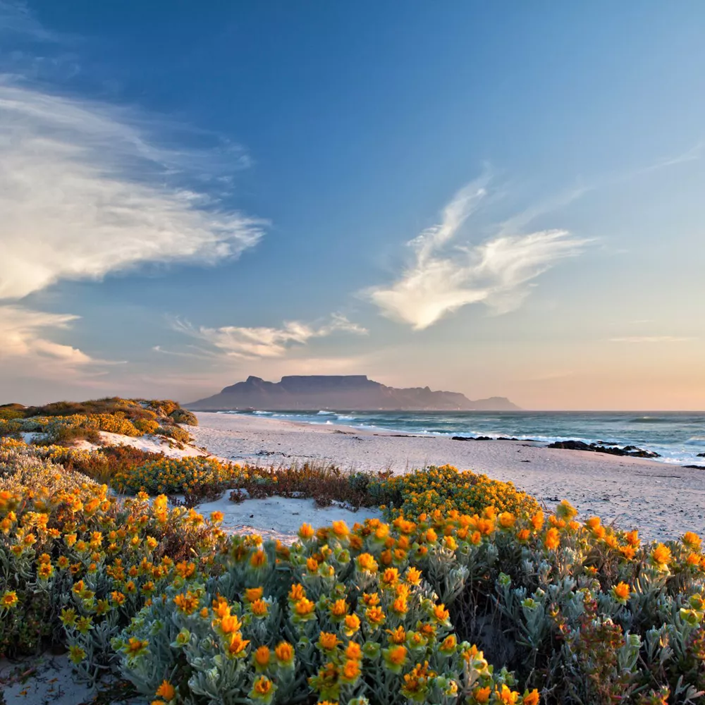 Table Mountain seen from Bloubergstrand in Cape Town, South Africa 