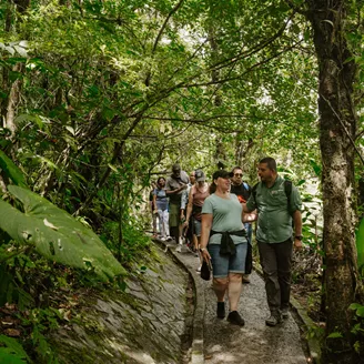 Trafalgar guests walking through a jungle in Costa Rica