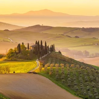 italy-tuscany-san-quirico-d-orcia-podere-belvedere-green-hills-olive-gardens-and-small-vineyard-under-rays-of-morning-sun.jpeg