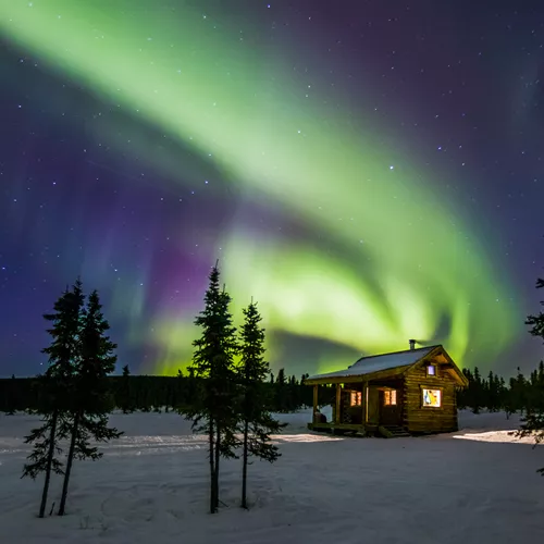 Alaska Northern Lights Guided Tour