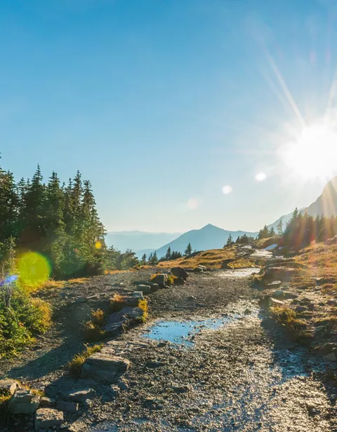 Montana Glacier National Park Hiking Trail Sunset Scenic Nature Landscape