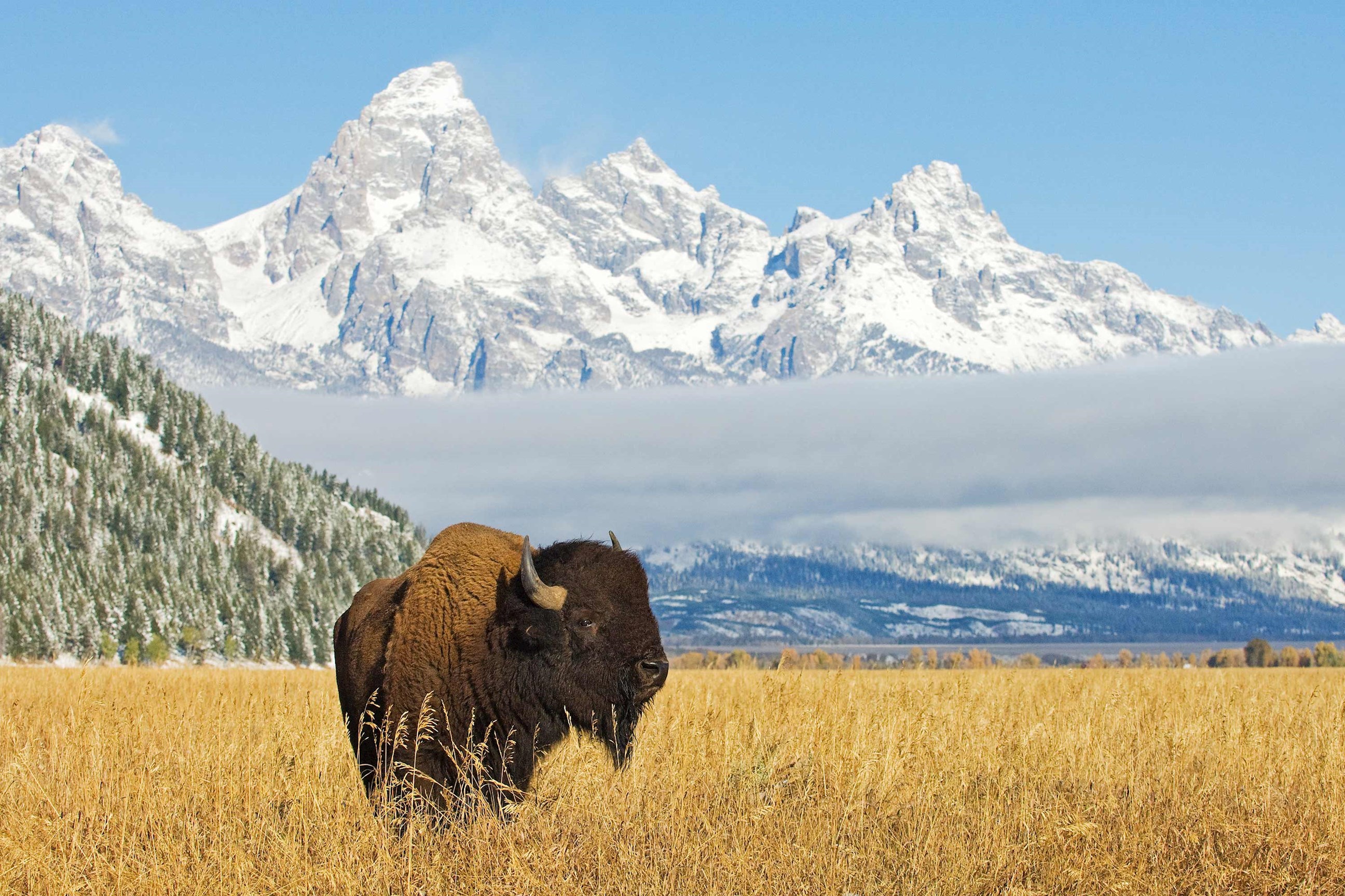 National Parks Wonders Guided Tour