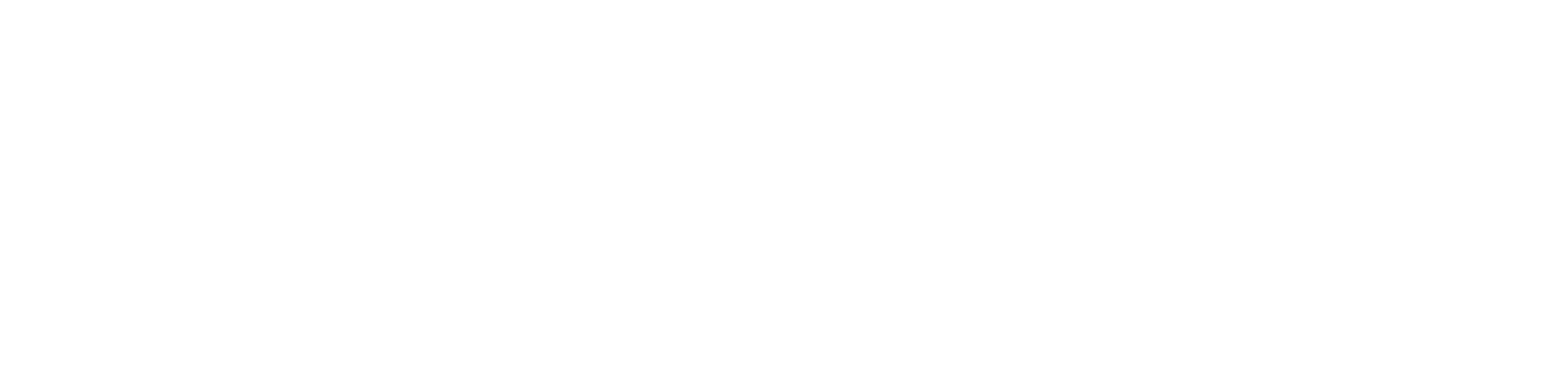 TT BOSS Oceania Horizontal Logo White