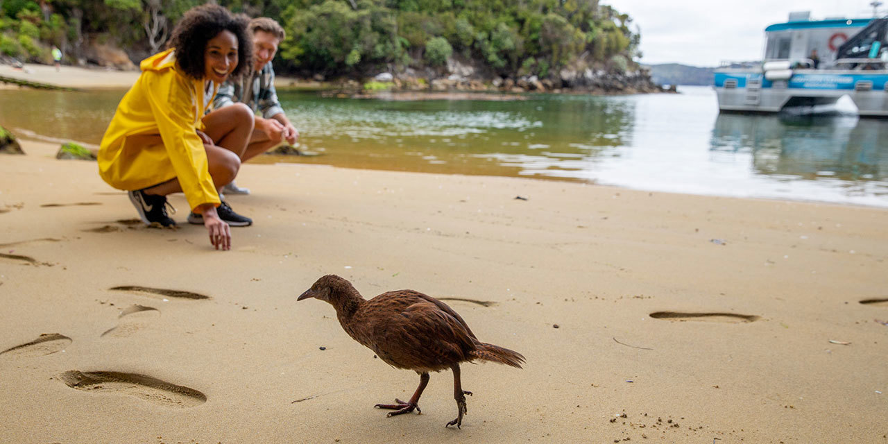 steward-island-credit-real-nz-1.jpg