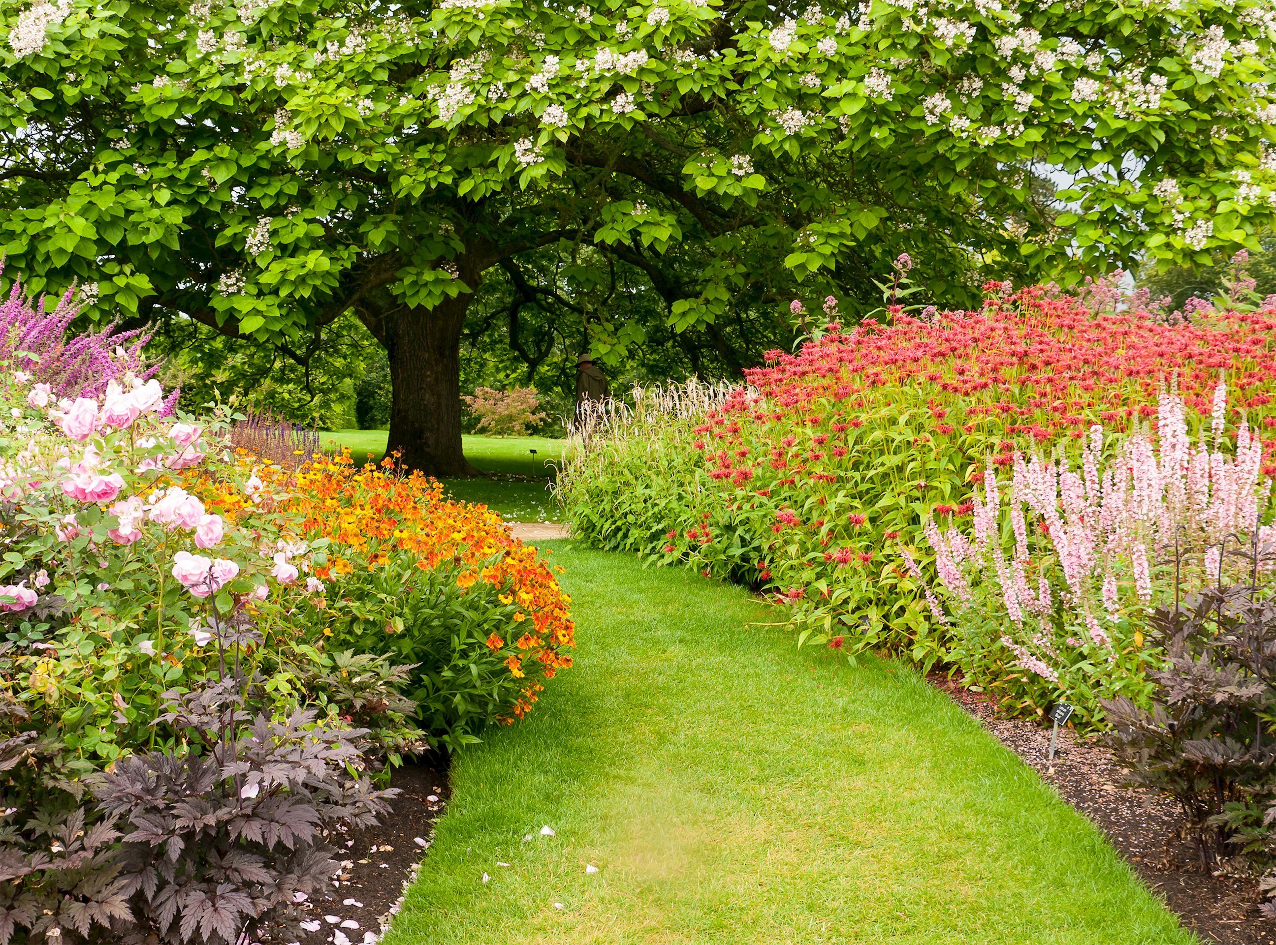 wisley-garden-woking-england.jpeg