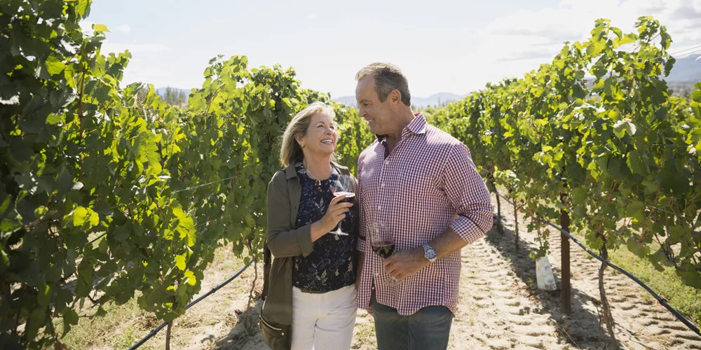 A couple in a vineyard