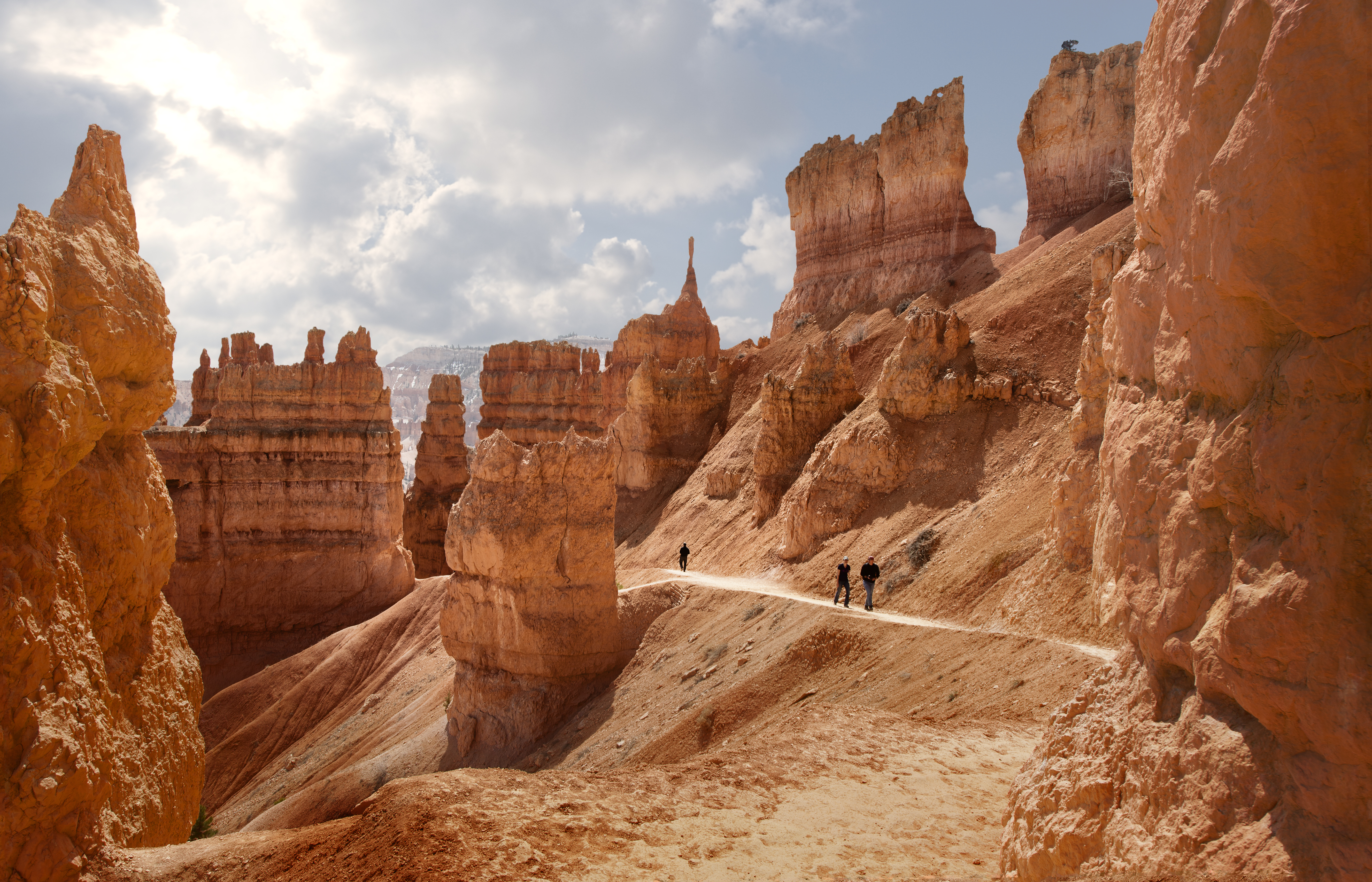 People walking in the Navajo Loop Trail in Bryce Canyon, Utah, USA