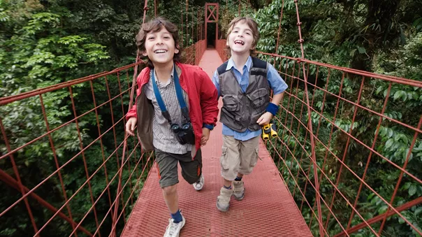 Boys on a suspension bridge in the trees