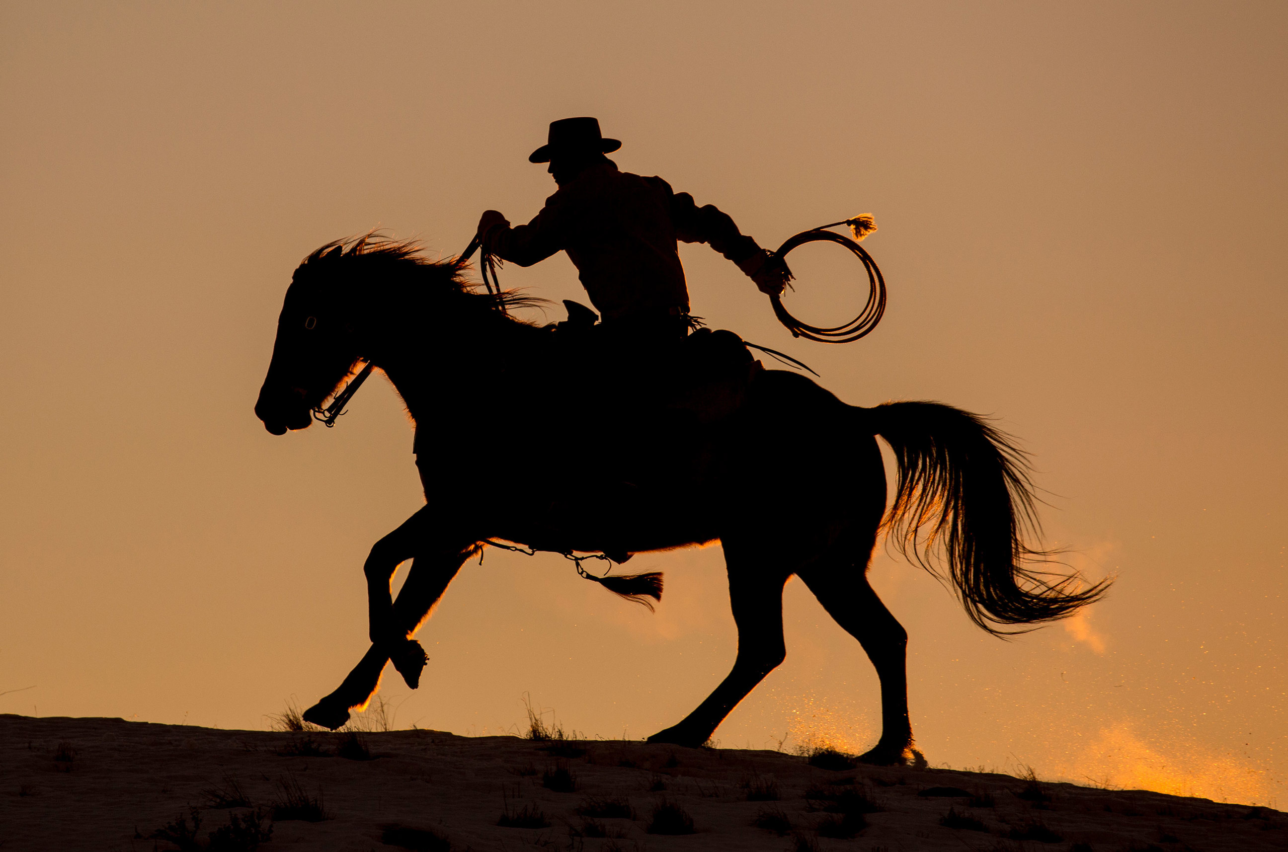 cowboy-and-horse-cody-wyoming-usa.jpg