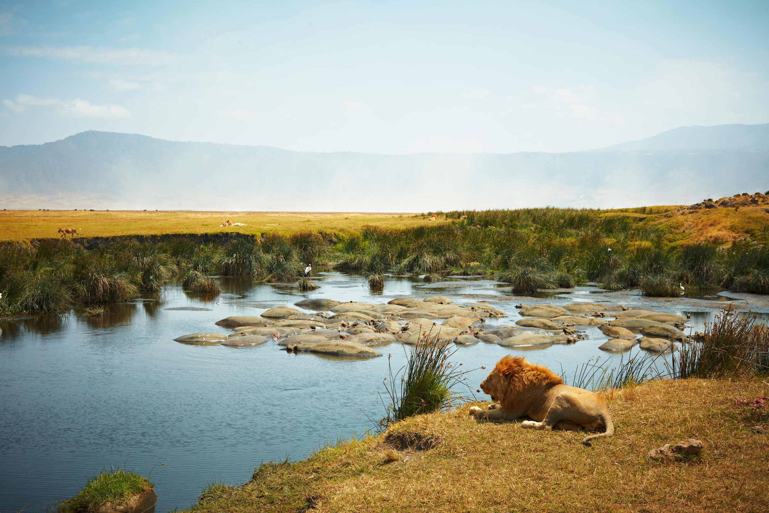 explore-ngorongoro-crater-tanzania.jpg
