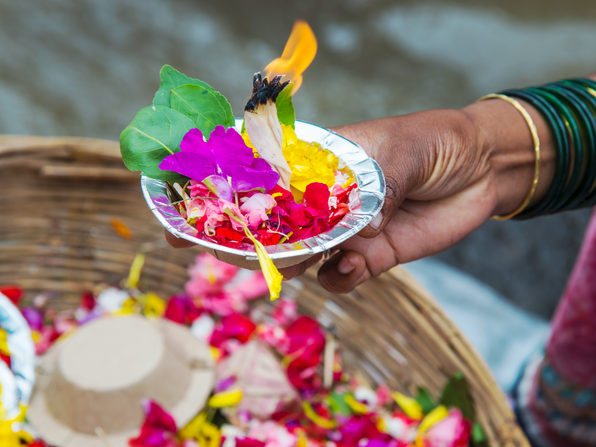A hand holding a bowl with flowers during Kumbh Mela festival in India