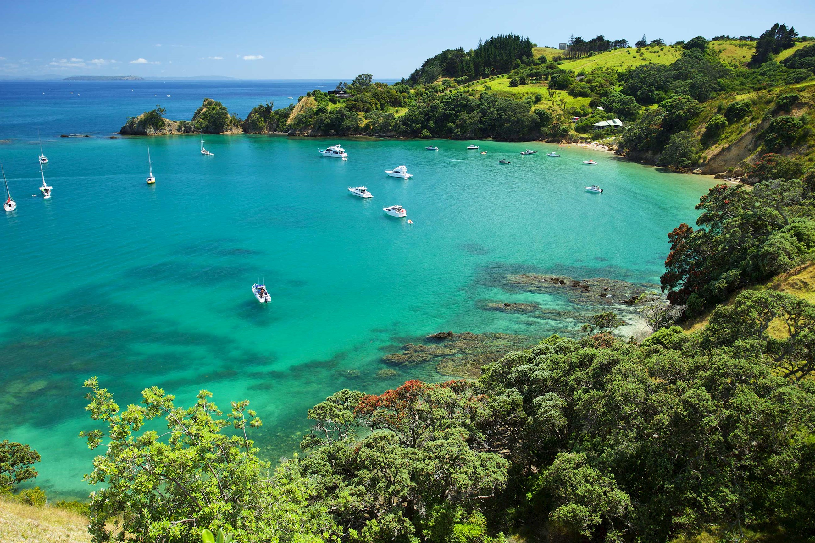 Jewels of The Bay New Zealand Tour 2024 Trafalgar