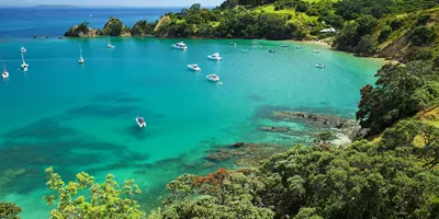 Jewels of the Bay Guided Tour