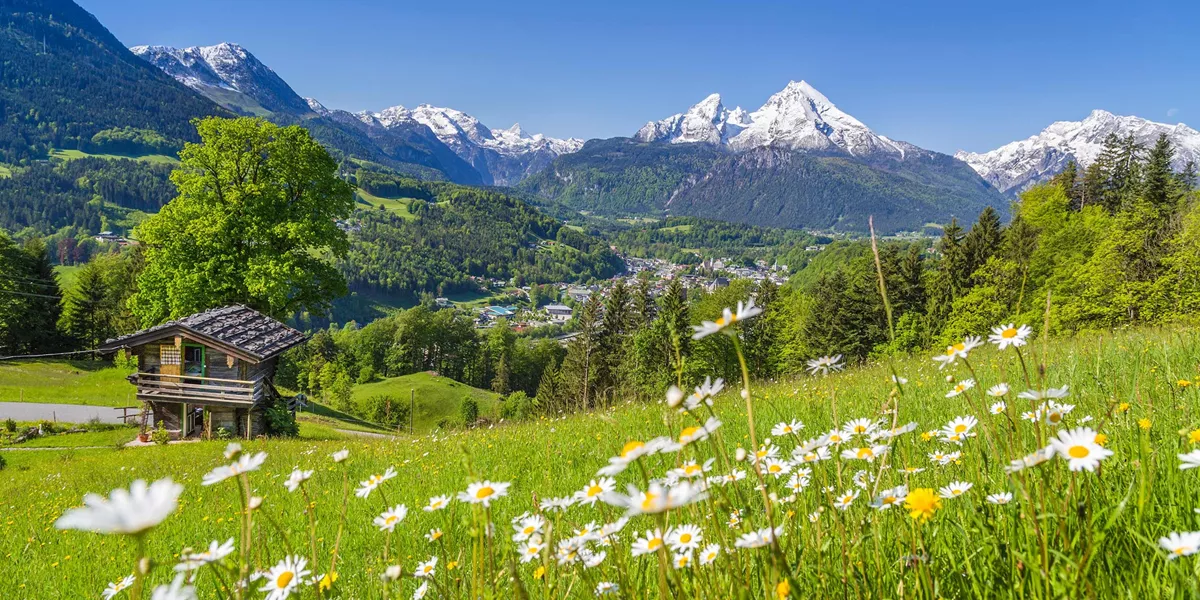 Sound of Music Guided Tour