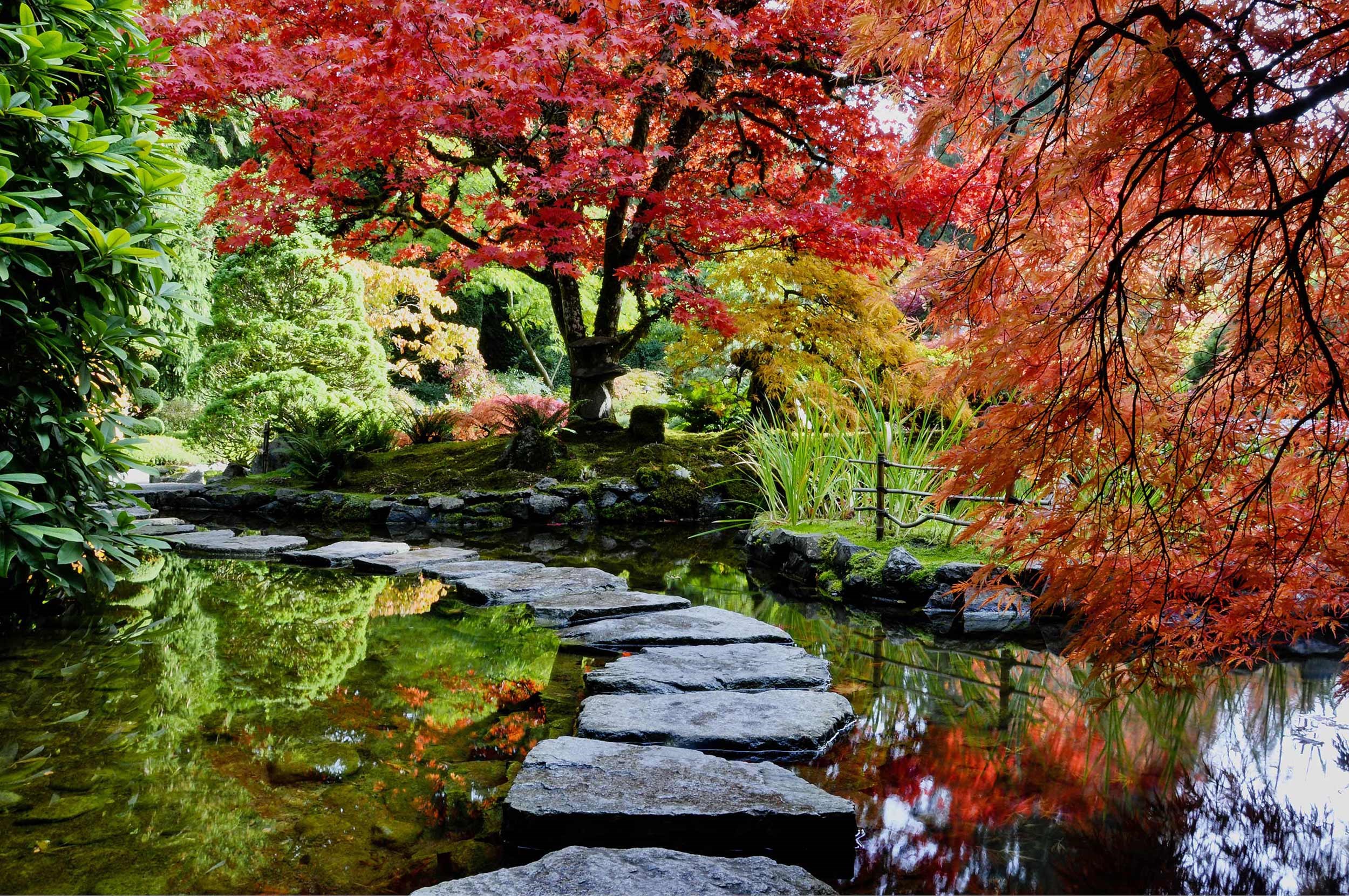 stepping-stones-lake-victoria-canada.jpg