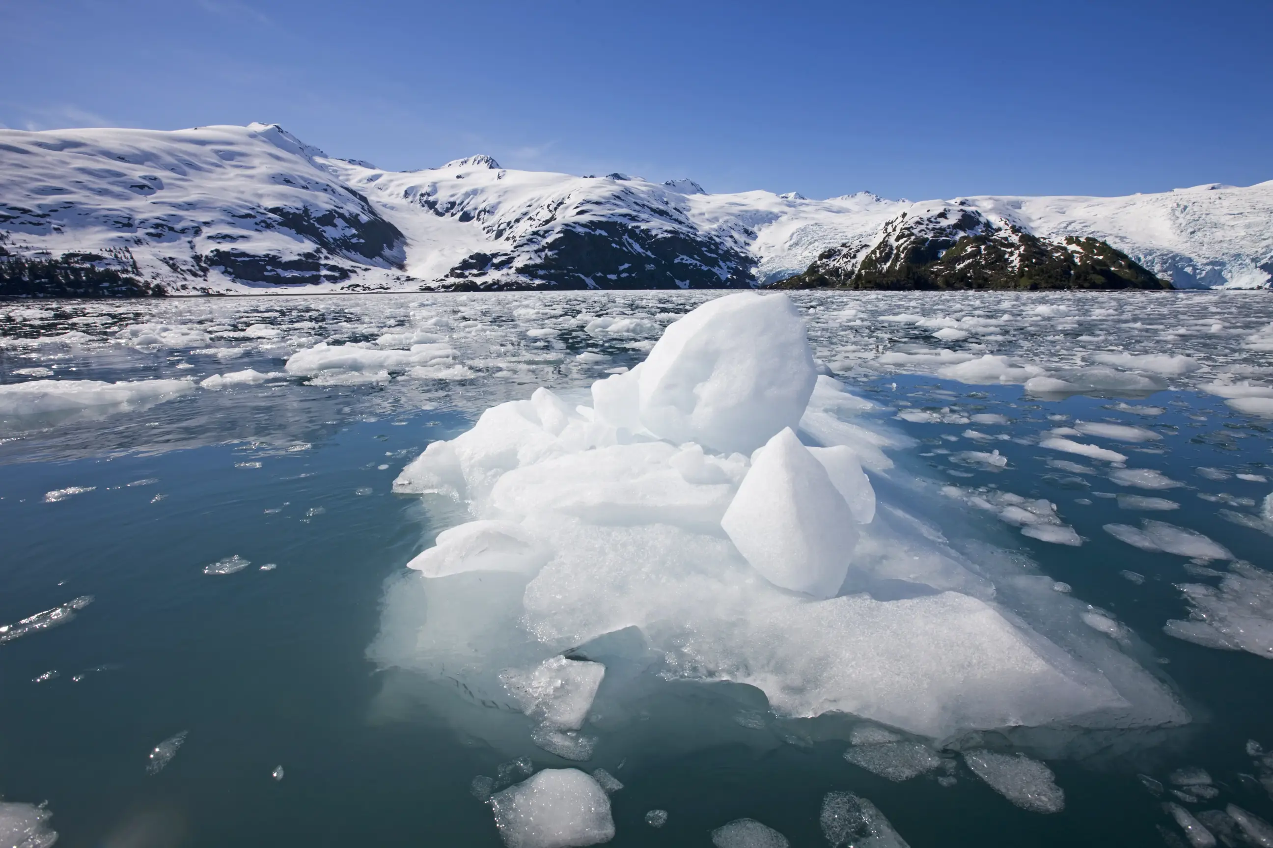 day-hero-icebergs-prince-william-sound-alaska-534979840.webp
