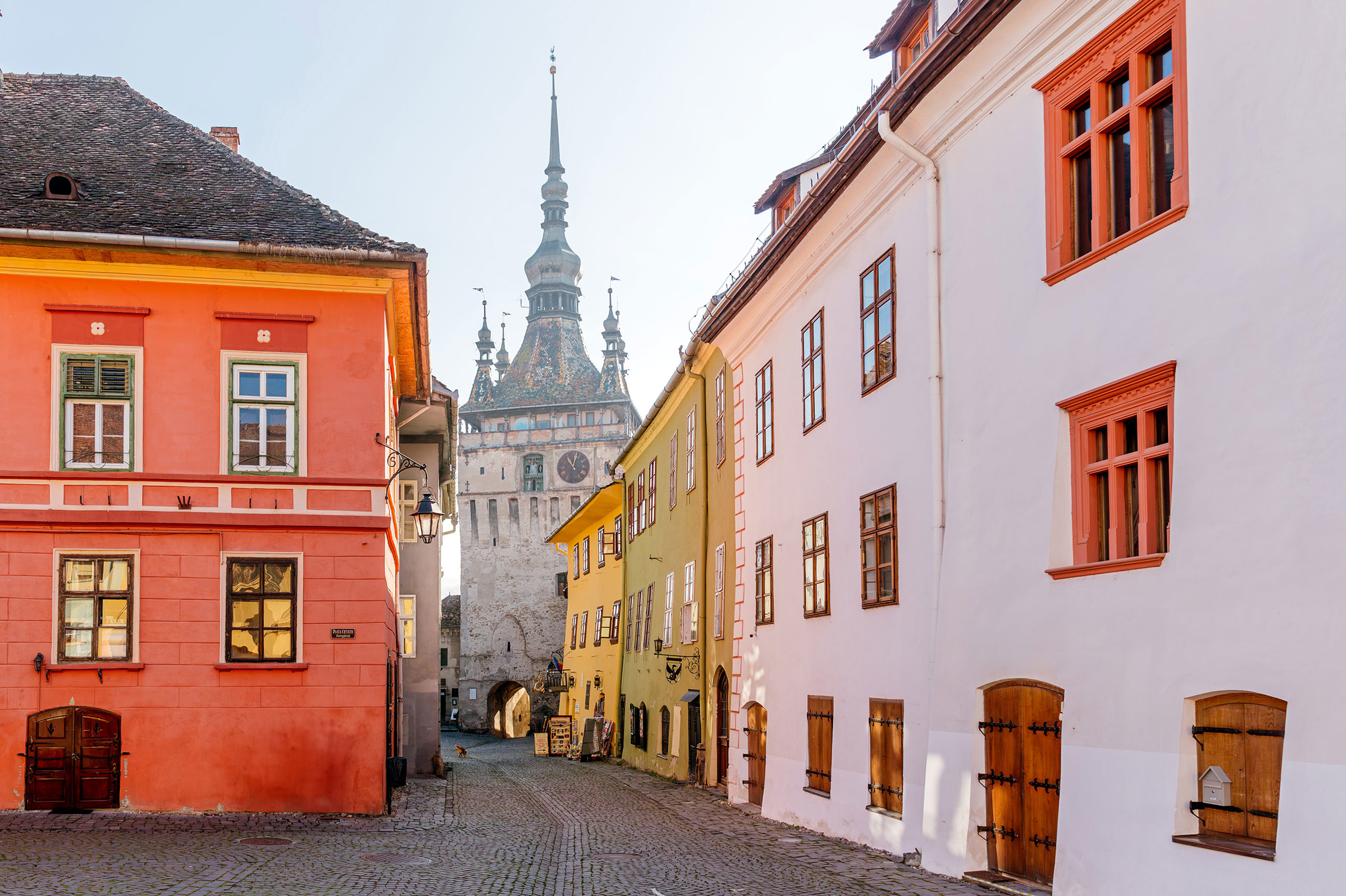 sighisoara-town-transylvania-brașov-romania.jpg