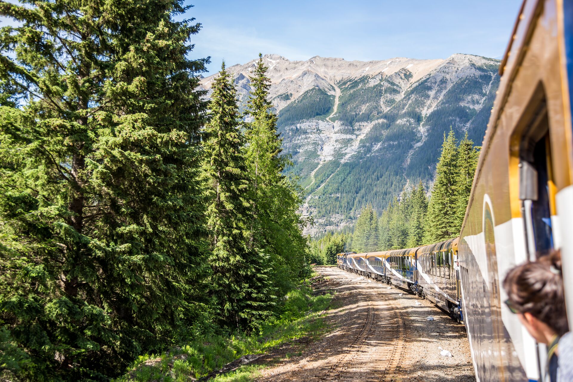 Guests admiring the forest in Vancouver, British Columbia, Canada from the Rocky Mountaineer