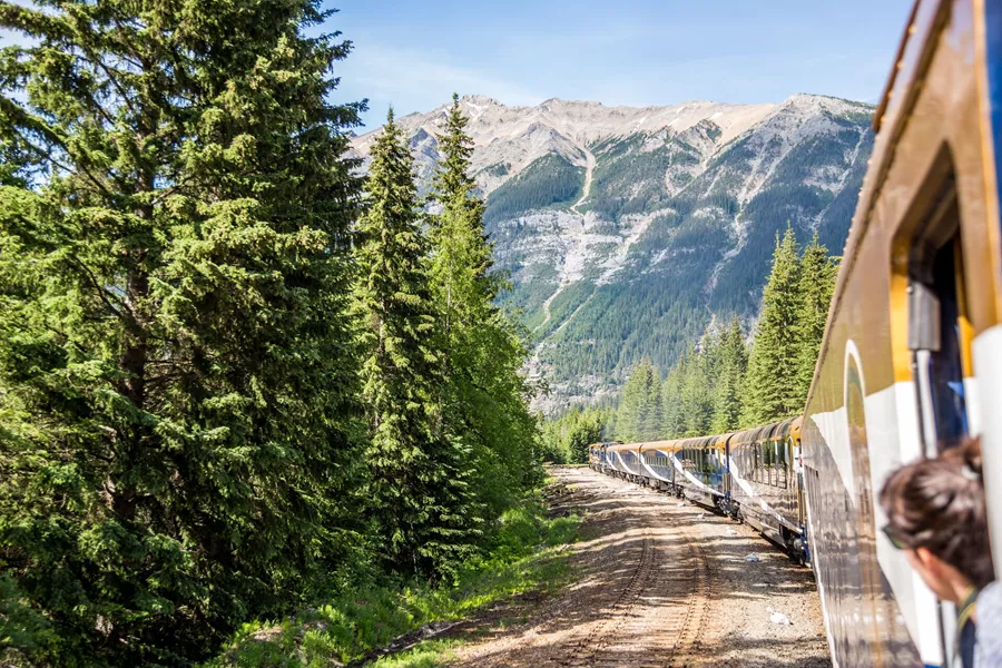 Guests admiring the forest in Vancouver, British Columbia, Canada from the Rocky Mountaineer