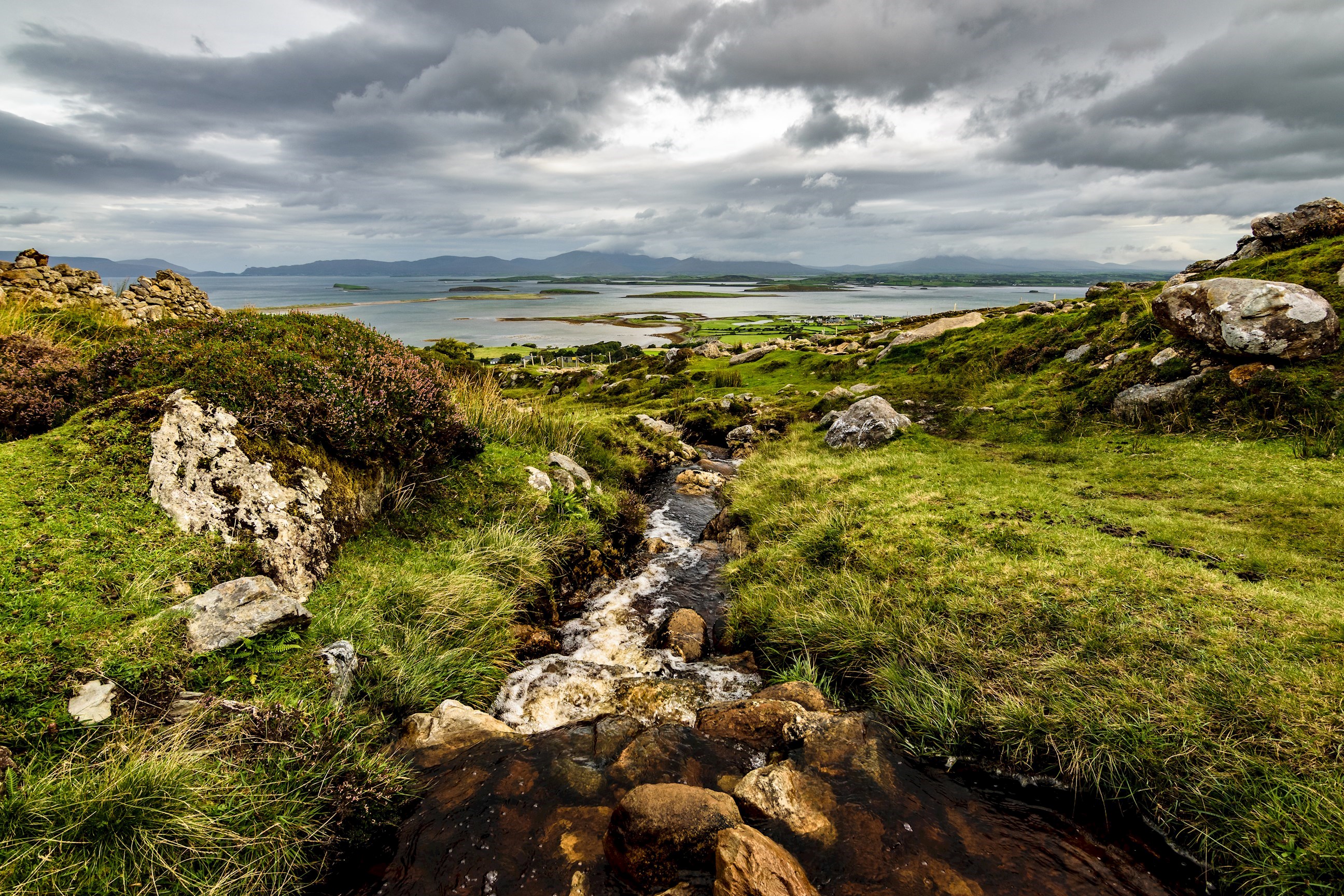choice-westport-ireland.jpg