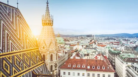 Vienna Skyline With St Stephen S Cathedral Roof Austria