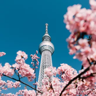 Cherry Blossom And Sakura With Tokyo Sky Tree In Japan 1039164368
