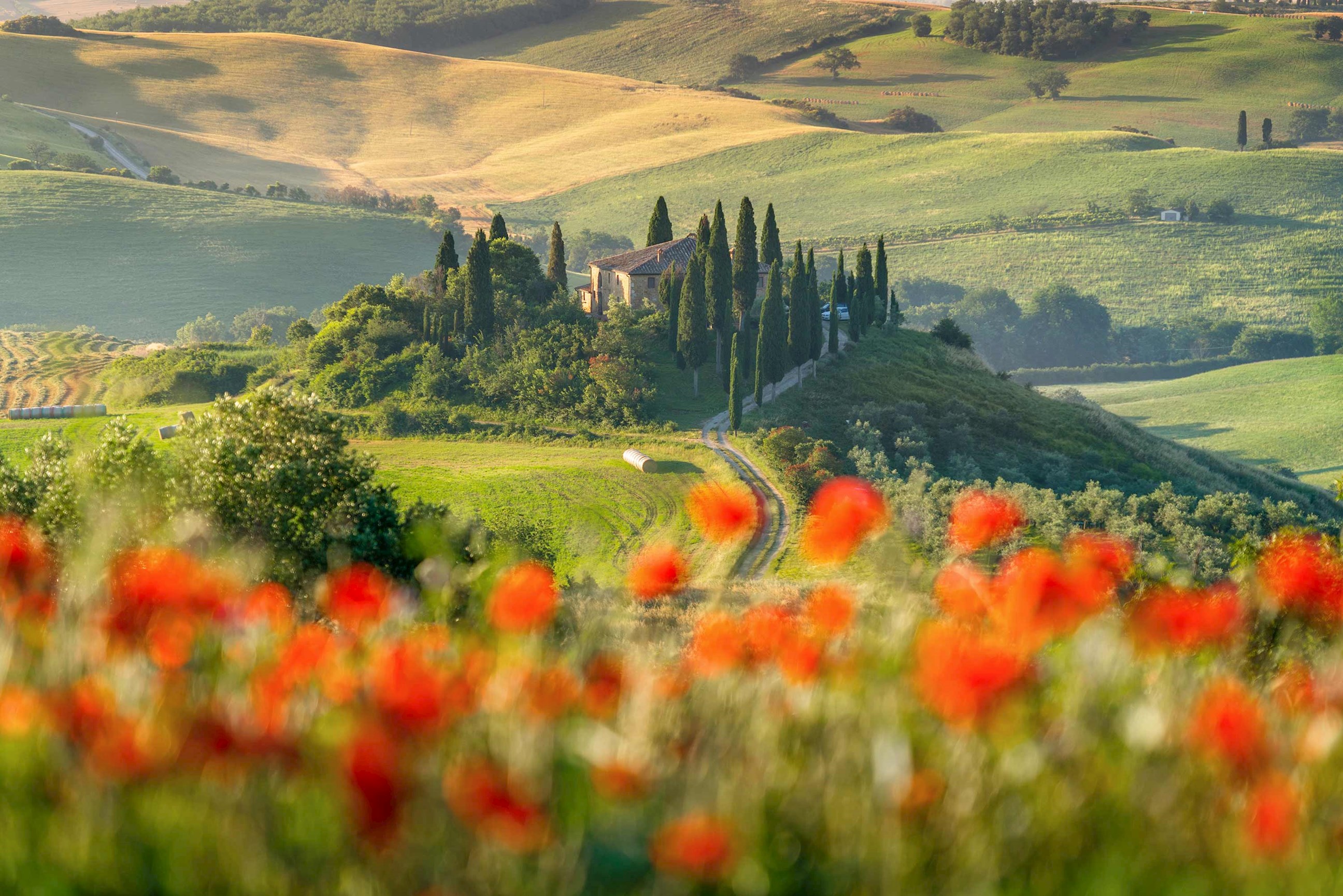 View of fields in Tuscany, Italy