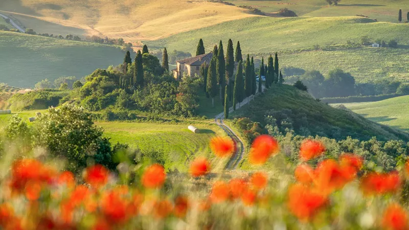 View of fields in Tuscany, Italy