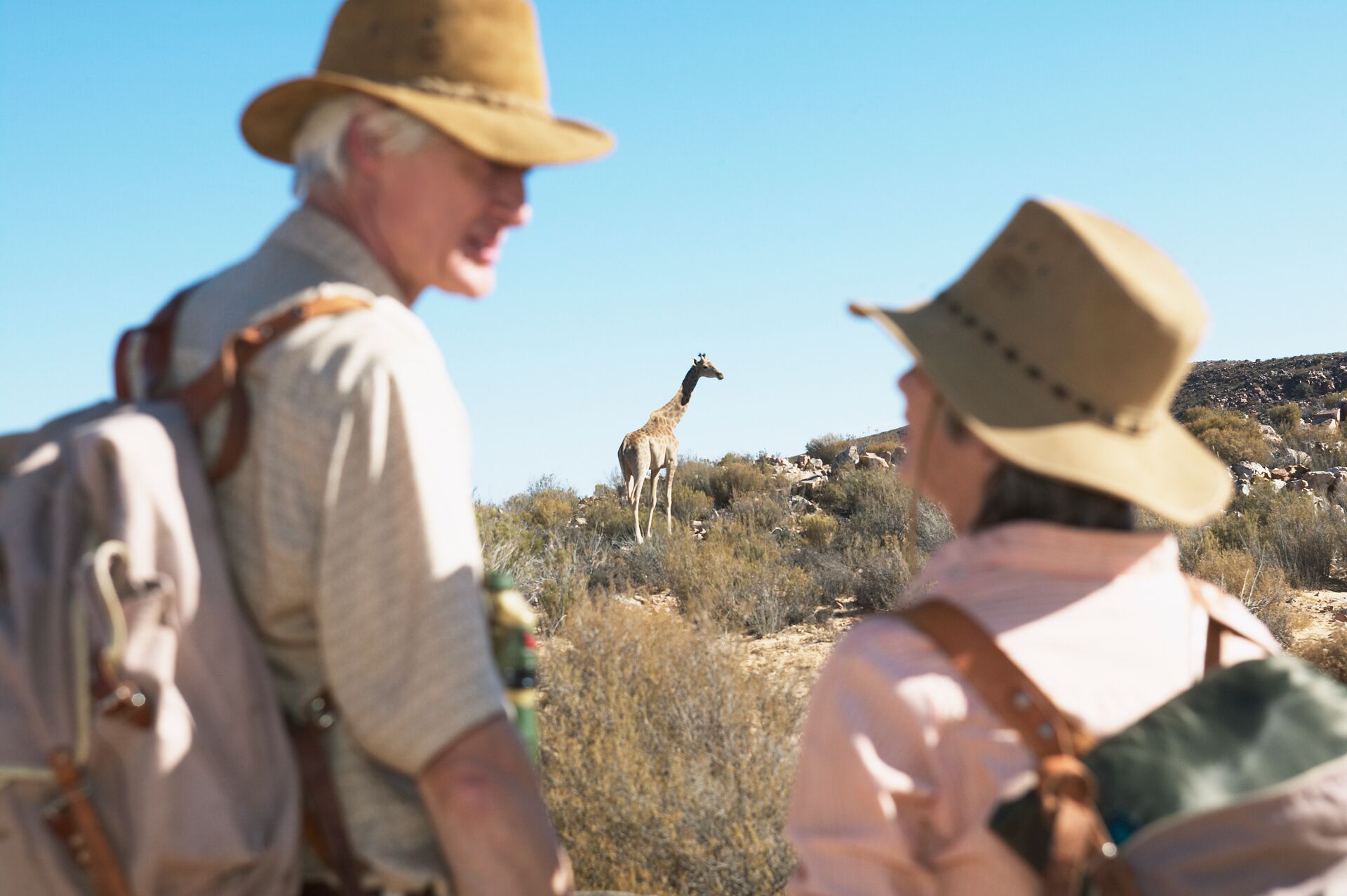 Couple on safari watching a giraffe