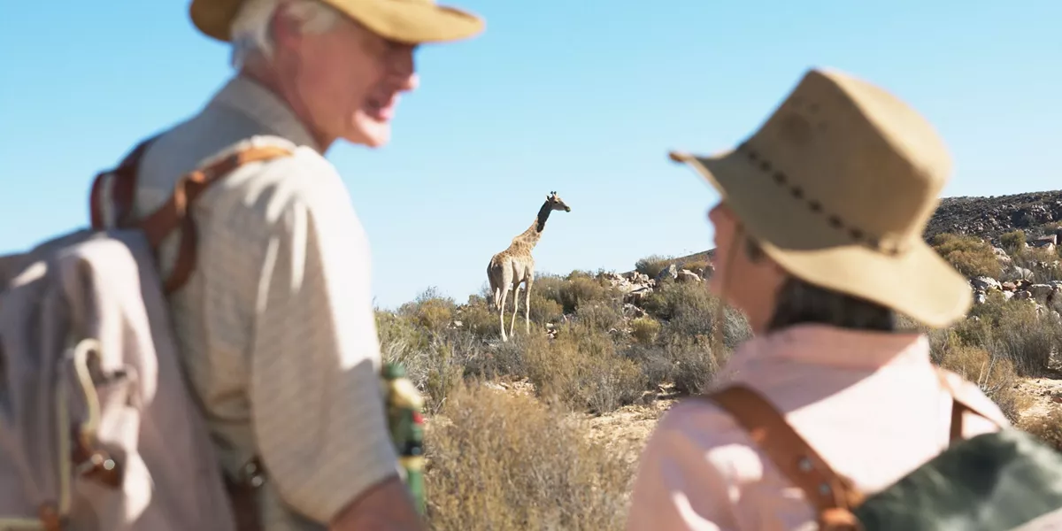 Couple on safari watching a giraffe