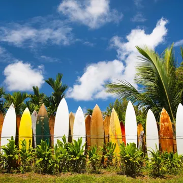 Best of Hawaii Guided Tour