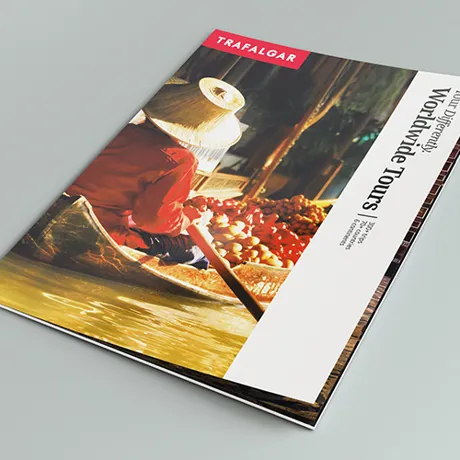 Tt Brochure Light Peacock